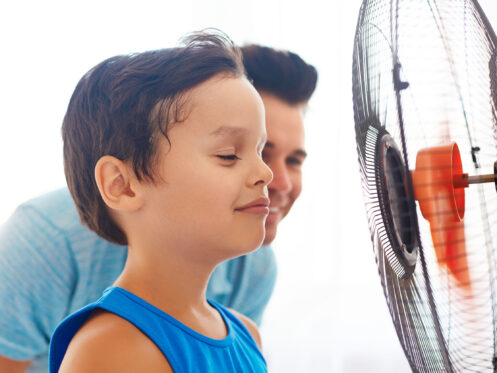 IAQ in Lee's Summit, MO